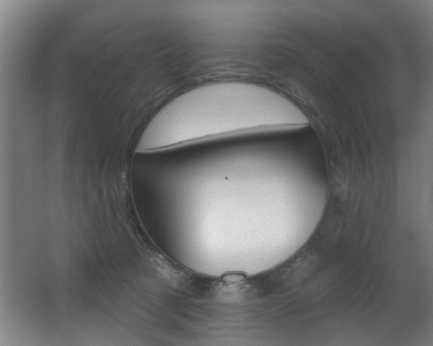 X0000068270321200604210947