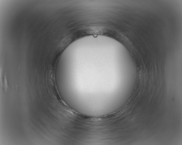 X0000068270322200604210947