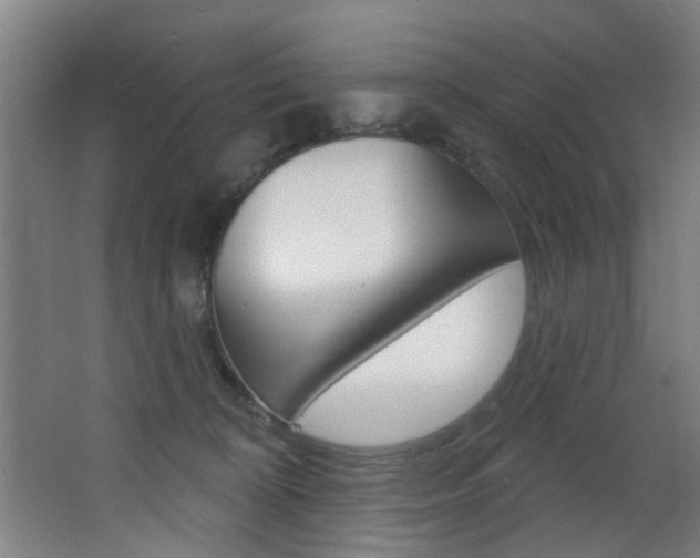 X0000068270324200604210947