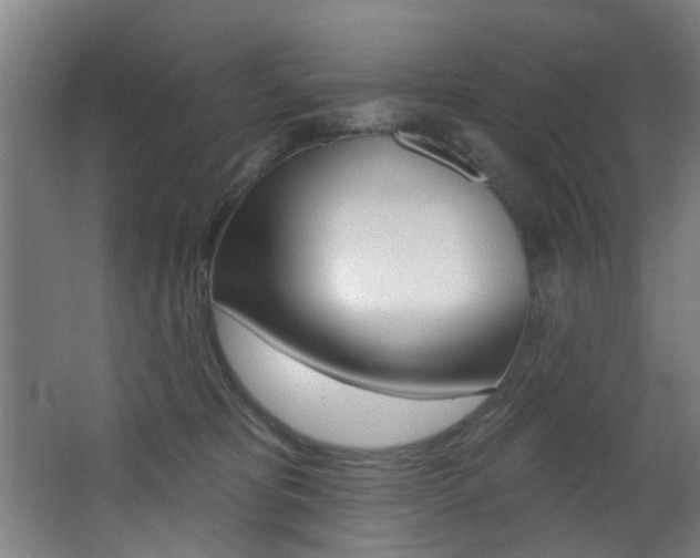 X0000068270325200604210947