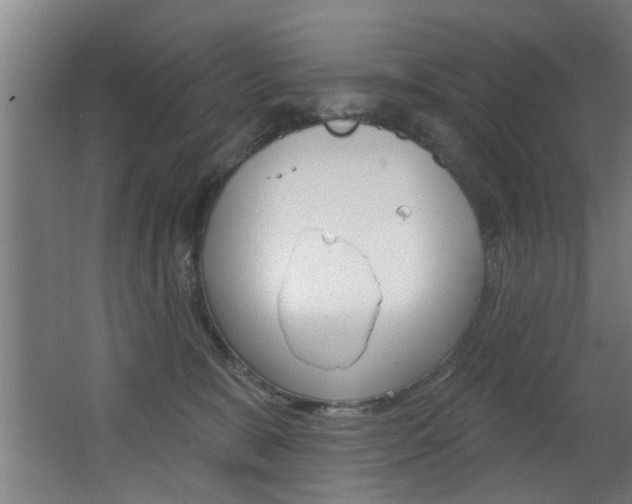 X0000068270327200604210947