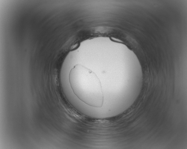 X0000068270328200604210947