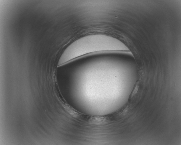 X0000068270329200604210947