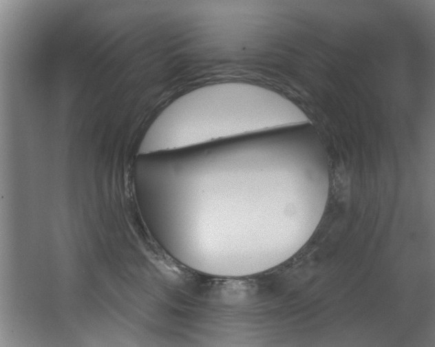 X0000068270330200604210947