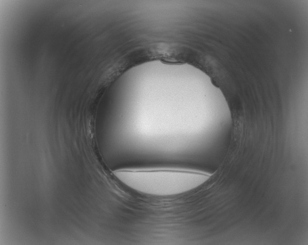 X0000068270331200604210947