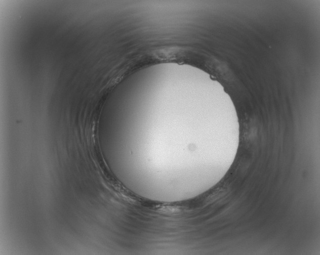 X0000068270332200604210947