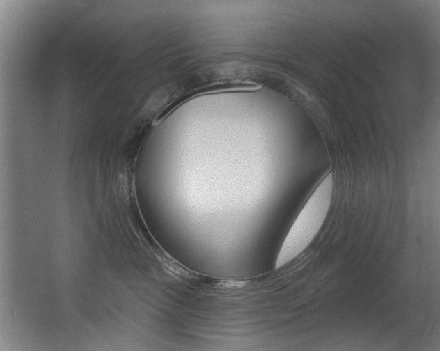 X0000068270333200604210947