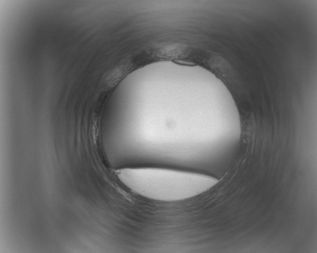 X0000068270334200604210947