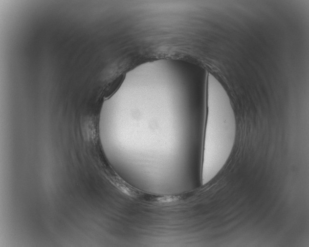 X0000068270335200604210947