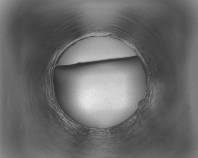 X0000068270337200604210946