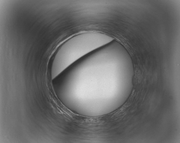 X0000068270338200604210946