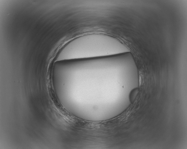 X0000068270339200604210946