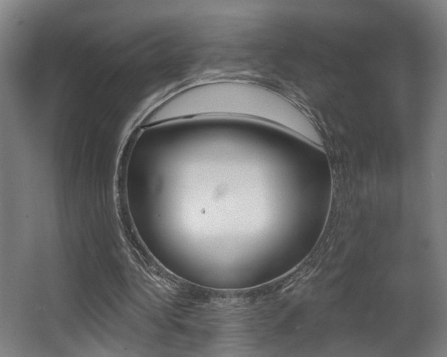 X0000068270340200604210946