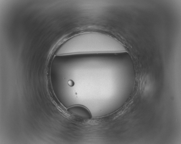 X0000068270341200604210946