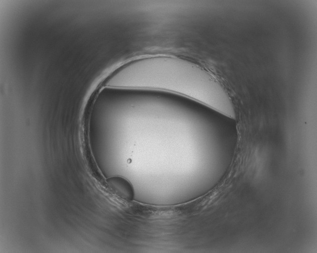 X0000068270342200604210946