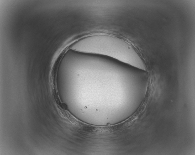 X0000068270343200604210946