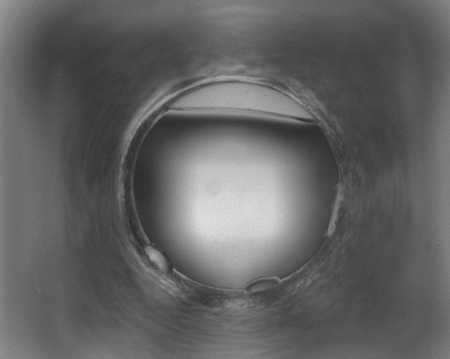 X0000068270344200604210946