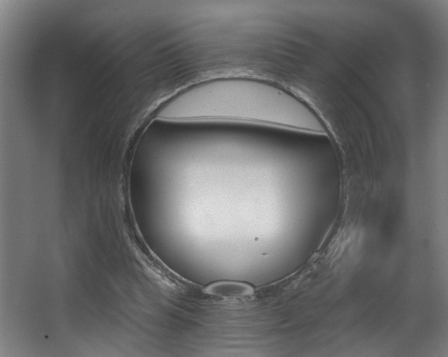 X0000068270345200604210946