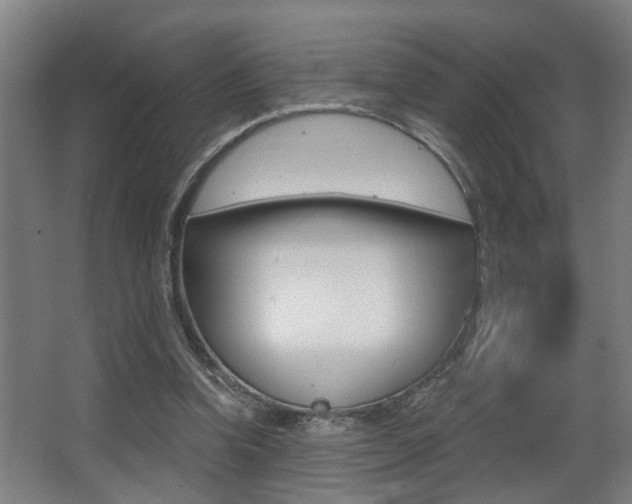 X0000068270346200604210946