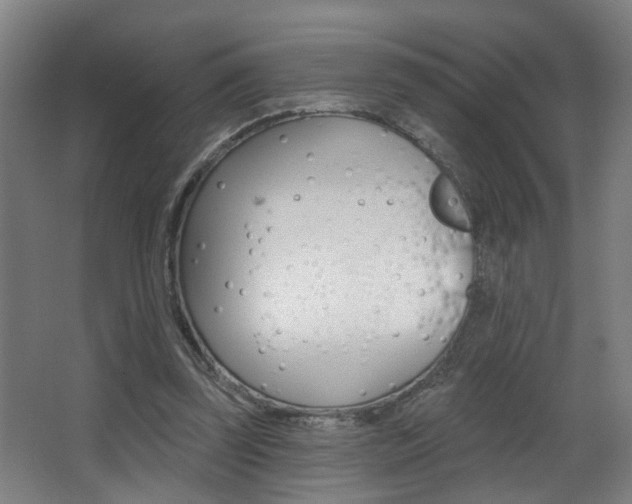 X0000068270347200604210946