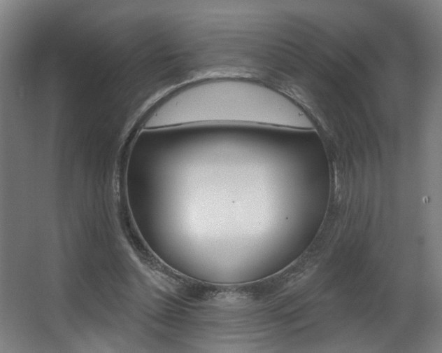 X0000068270348200604210946