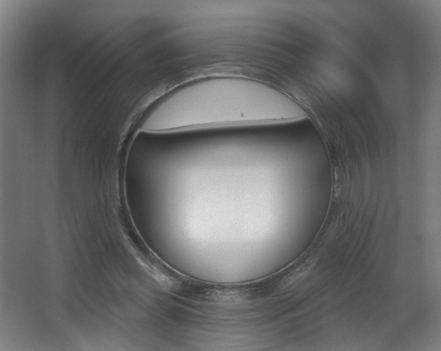 X0000068270349200604210946