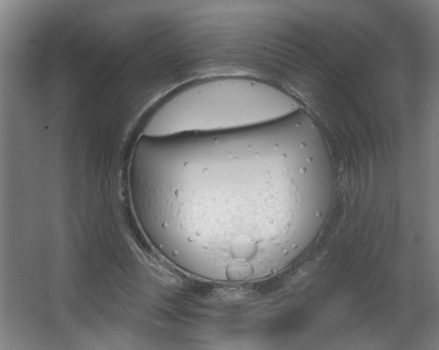 X0000068270351200604210946