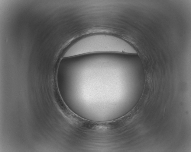 X0000068270352200604210946