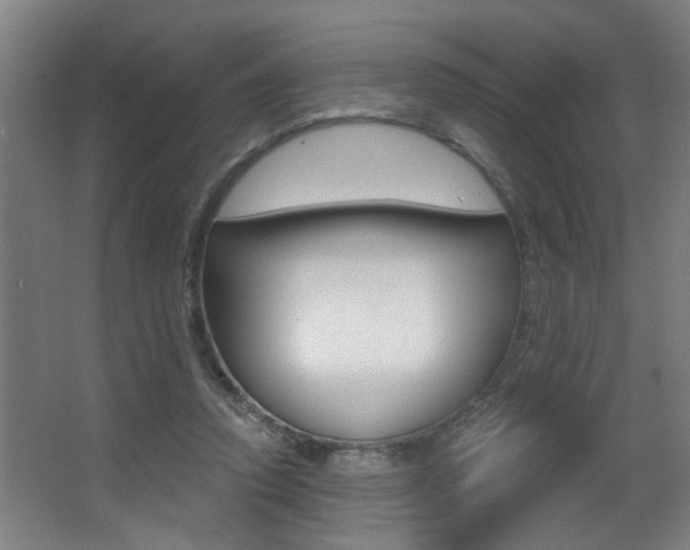 X0000068270354200604210946