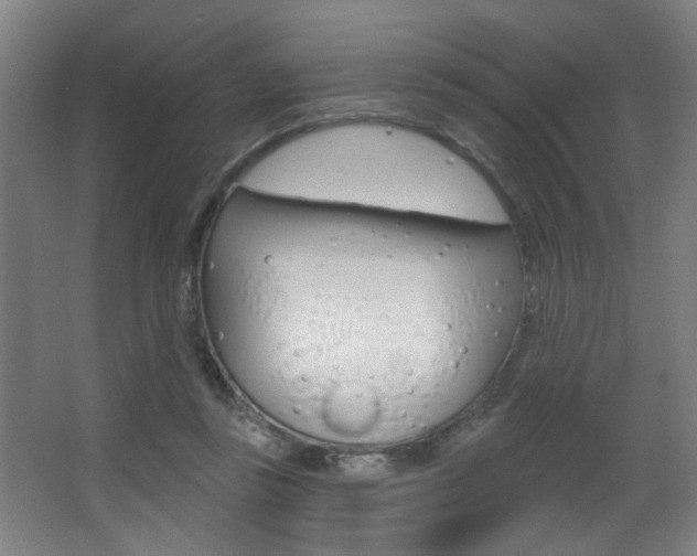 X0000068270355200604210946