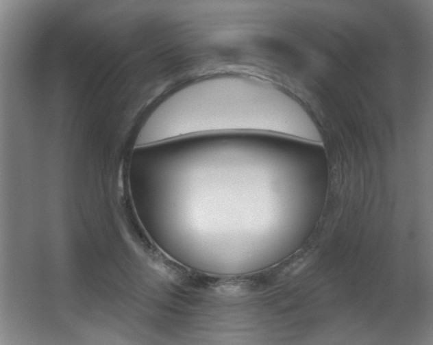 X0000068270358200604210946