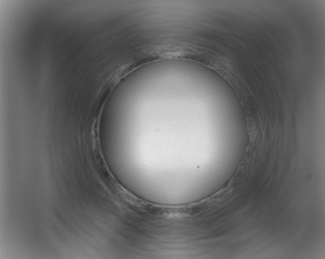 X0000068270360200604210946