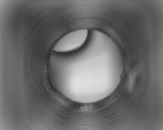 X0000068270362200604210946