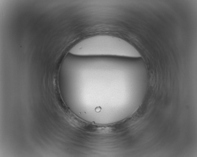 X0000068270363200604210946