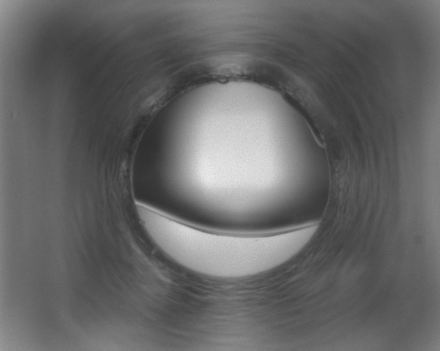 X0000068270364200604210946