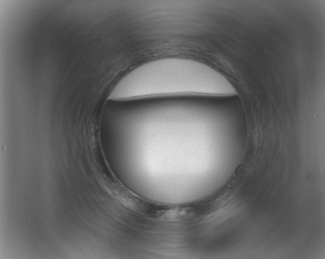 X0000068270366200604210946