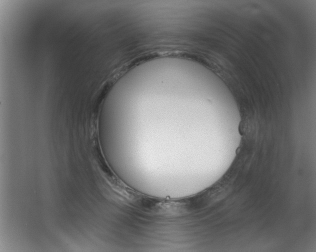 X0000068270367200604210946