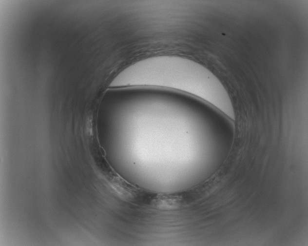 X0000068270368200604210946