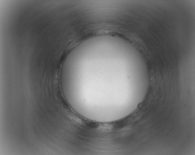 X0000068270369200604210946