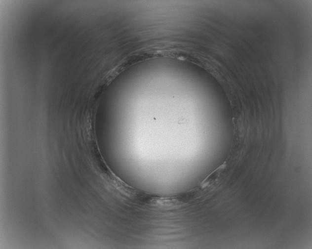 X0000068270372200604210946