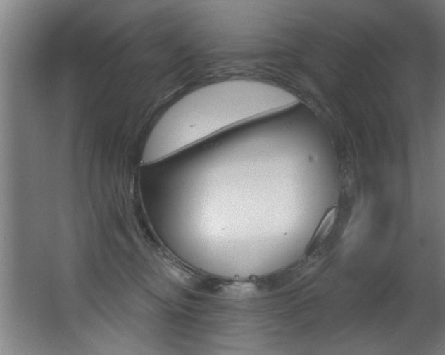 X0000068270374200604210946