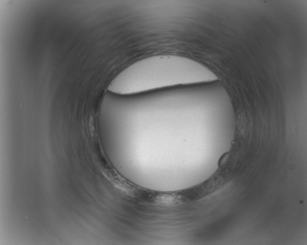 X0000068270375200604210946