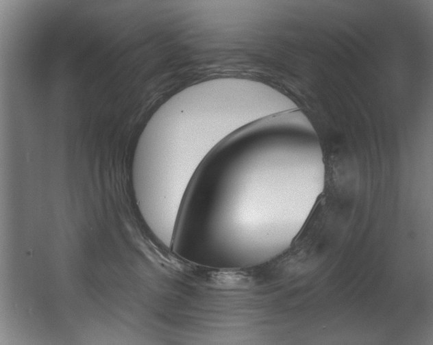 X0000068270380200604210946