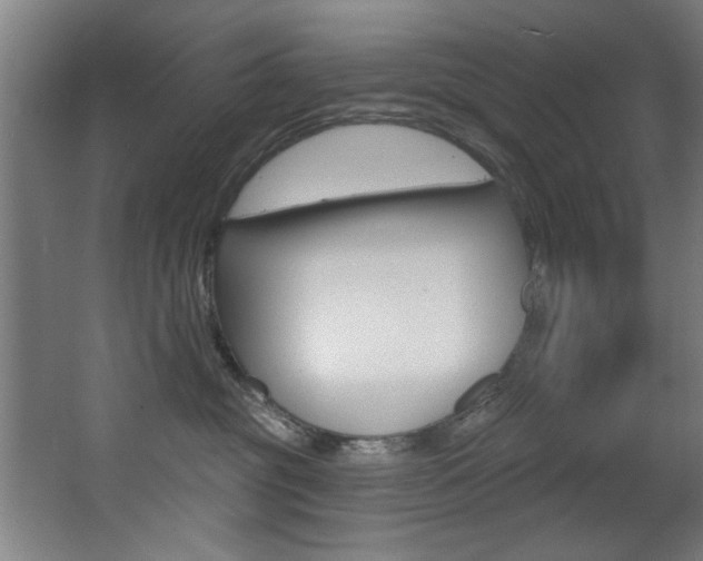 X0000068270381200604210946