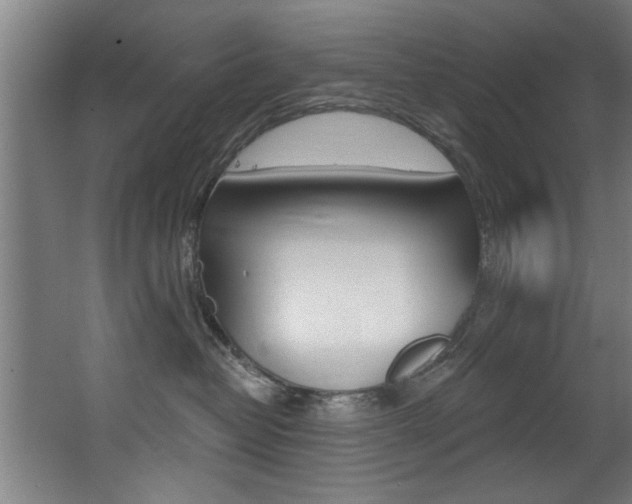 X0000068270382200604210946