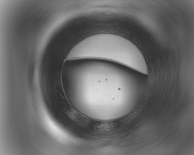 X0000068270383200604210946