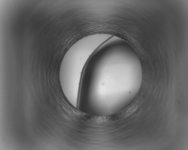 X0000068270384200604210947