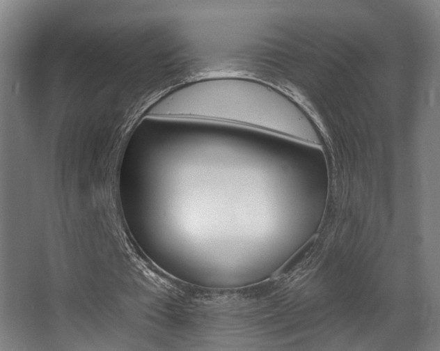 X0000068270385200604210946