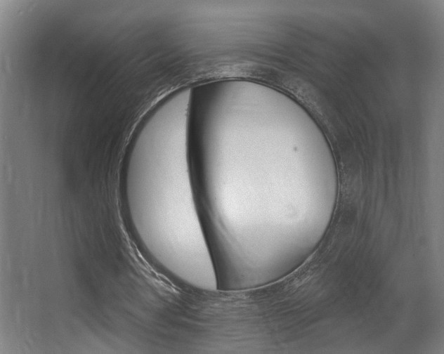 X0000068270386200604210946