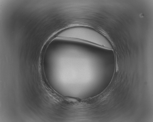 X0000068270387200604210946